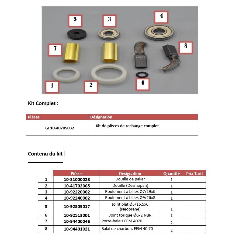Kit de pièce rechange moteur FEM 4070 Kit de pièce rechange moteur FEM 4070