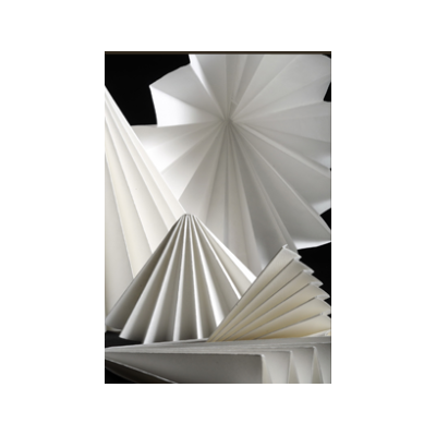 FILTRE N°107 DIAM.330MM PAPIER PLISSE PRAT DUMAS