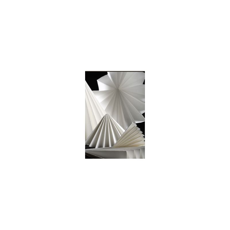 FILTRE N°107 DIAM.330MM PAPIER PLISSE PRAT DUMAS